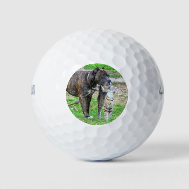 Pit Bull and Cat Golf Balls (Front)