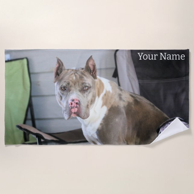 Pit Bull Beach Towel (Front)