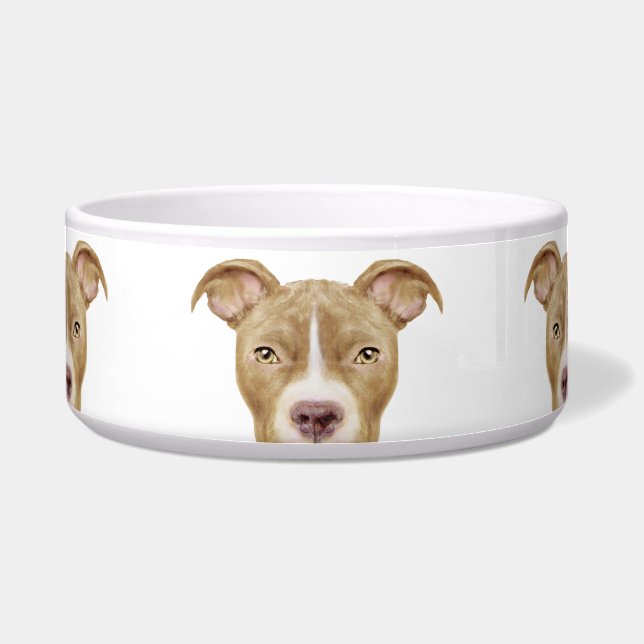Pit bull brown ceramic dog feeding (Front)