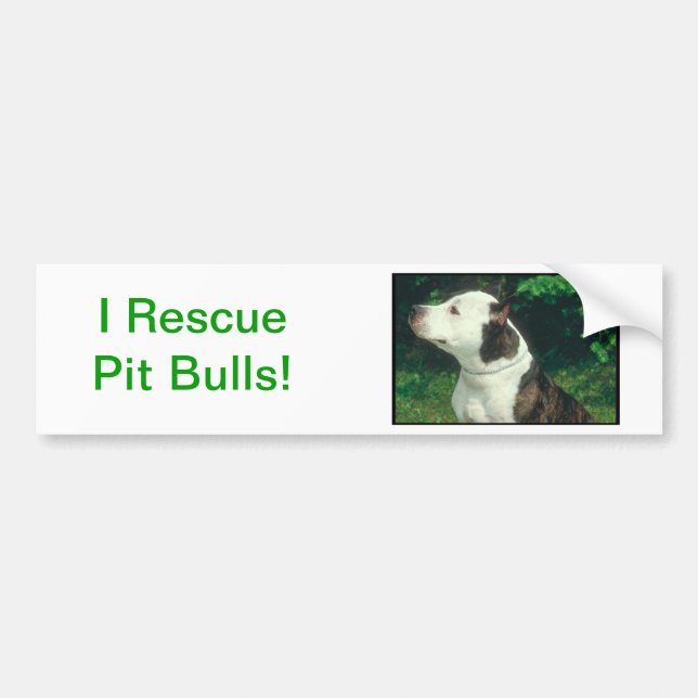 Pit Bull Bumper Sticker (Front)