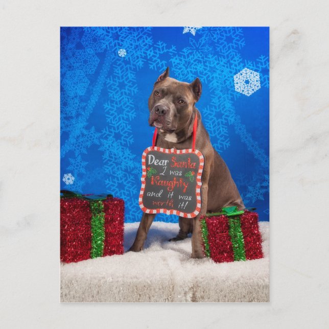 Pit-Bull Christmas Holiday Postcard (Front)