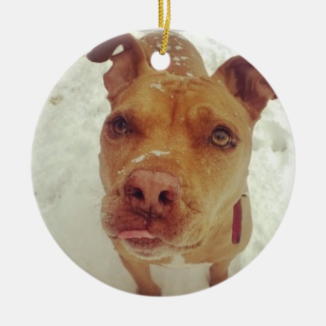 Pit Bull Christmas Ornament (Front)