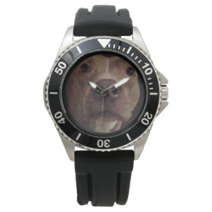 PIT BULL DOG watch