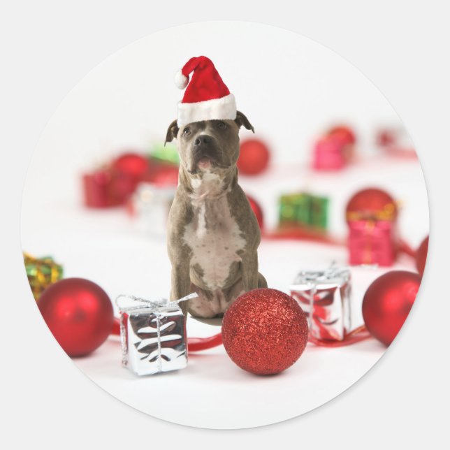 Pit Bull Dog with Gift box and Christmas Ornaments Classic Round Sticker (Front)