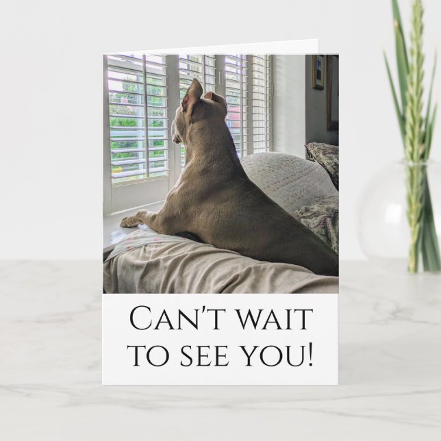 Pit Bull Gonna See you Card (Front)