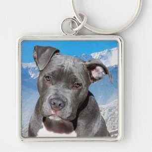 Pit Bull Key Ring