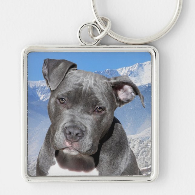 Pit Bull Key Ring (Front)