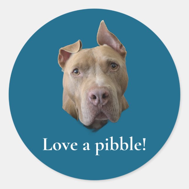 Pit Bull Love a Pibble Classic Round Sticker (Front)