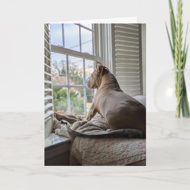 Pit Bull Love Miss You Card (Front)