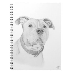 Pit Bull, Misunderstood Notebook
