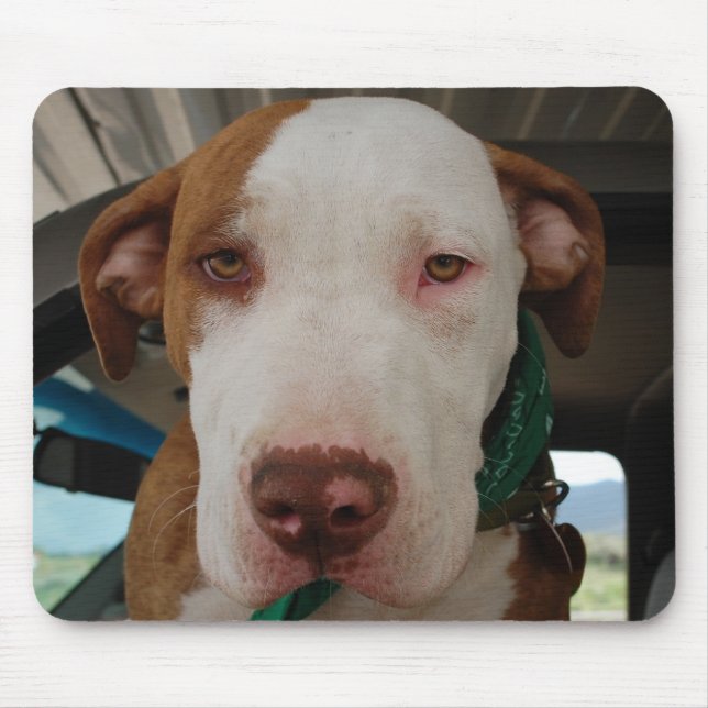 Pit Bull Mix Mousepad (Front)