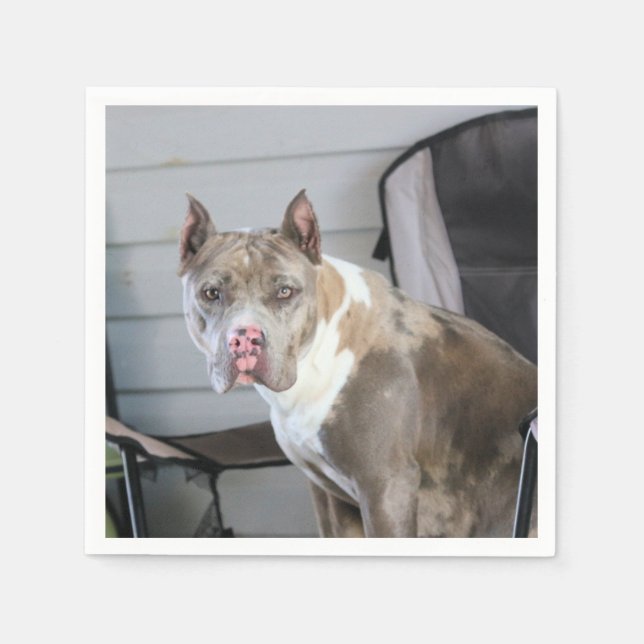 Pit Bull Napkin (Front)