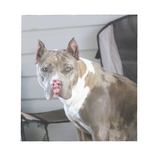 Pit bull notepad (Front)