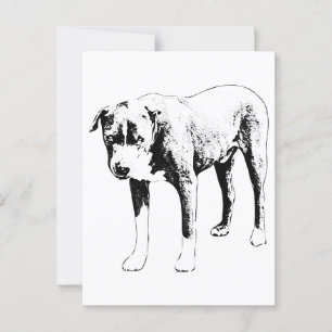 Pit Bull Post, Snow-Day Hello Postcard