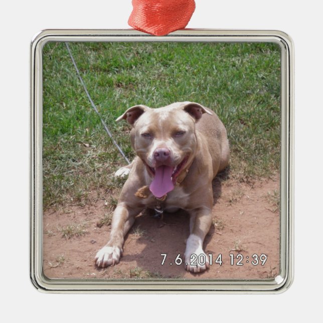 Pit Bull Products Metal Tree Decoration (Front)