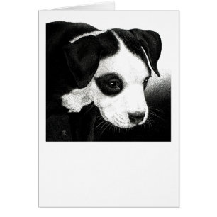Pit Bull Pup Card - "Pirate Girl"