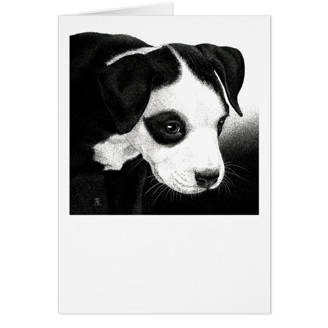 Pit Bull Pup Card - "Pirate Girl" (Front)