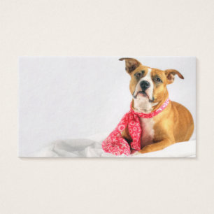 Pit Bull Puppy Love in Pink XOXO