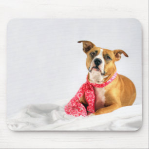 Pit Bull Puppy Love in Pink XOXO Mouse Pad
