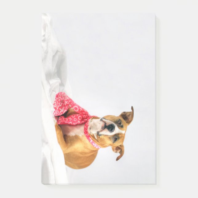 Pit Bull Puppy Love in Pink XOXO Post-it Notes (Front)