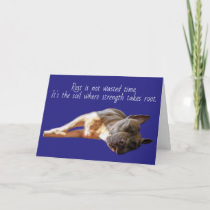Pit Bull Sleeping Card