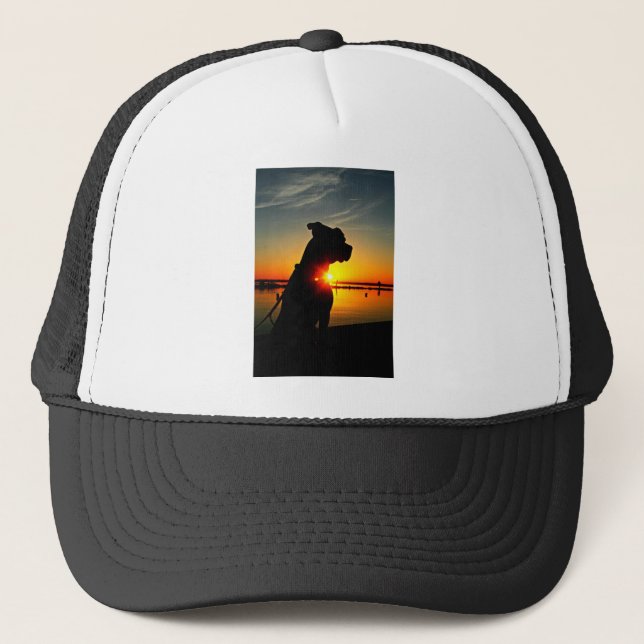 Pit Bull Sunrise Trucker Hat (Front)