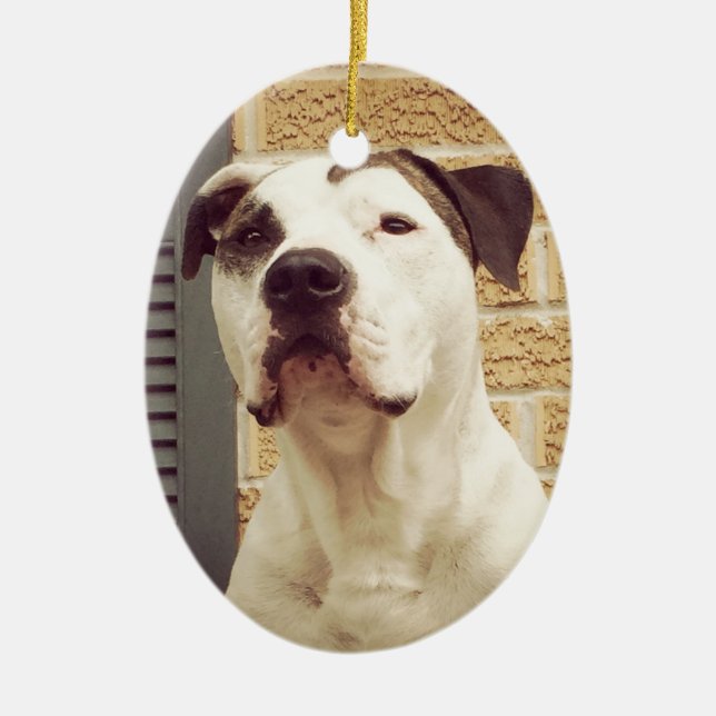 Pit Bull T-Bone Ceramic Tree Decoration (Front)