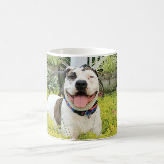 Pit Bull T-Bone Coffee Mug
