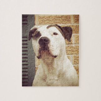Pit Bull T-Bone Jigsaw Puzzle