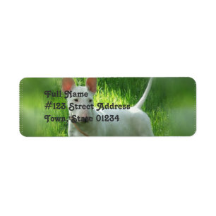 Pit Bull Terrier Return Address Label