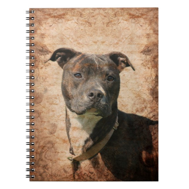Pit Bull Terrier Spiral Notebook (Front)