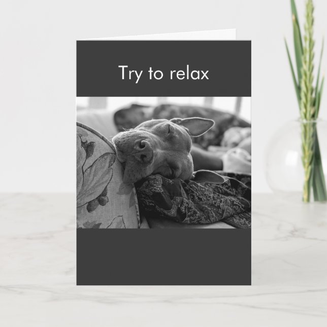 Pit Bull try to relax Card (Front)