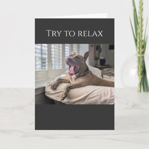 Pit Bull try to relax get well Card