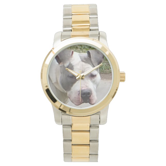 Pit Bull Watches (Front)