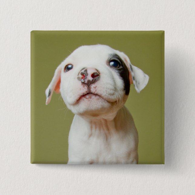 Pit Bull With Black Spotted Eye 15 Cm Square Badge (Front)