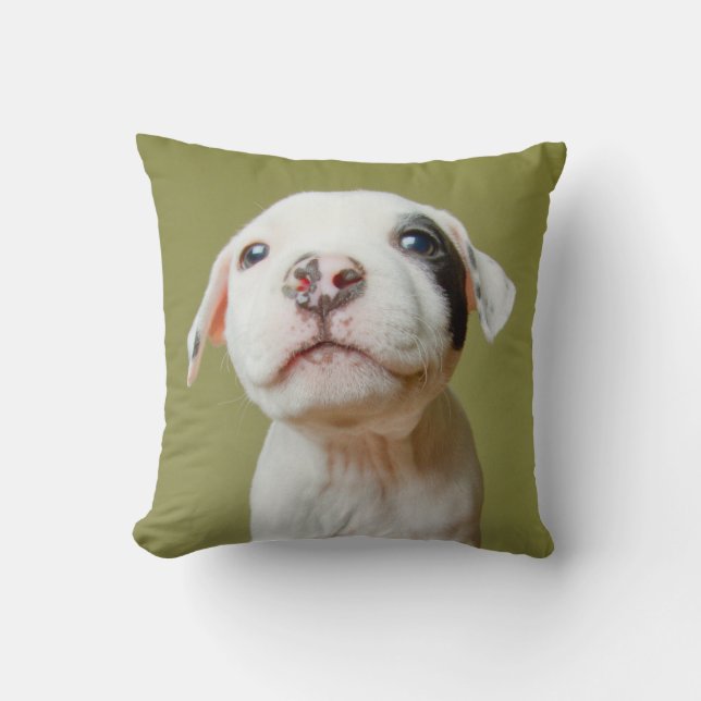 Pit Bull With Black Spotted Eye Cushion (Front)