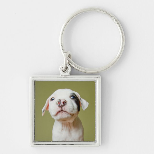 Pit Bull With Black Spotted Eye Key Ring (Front)