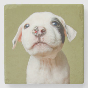 Pit Bull With Black Spotted Eye Stone Coaster