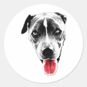 Pit Mix Red Tongue Portrait Sticker