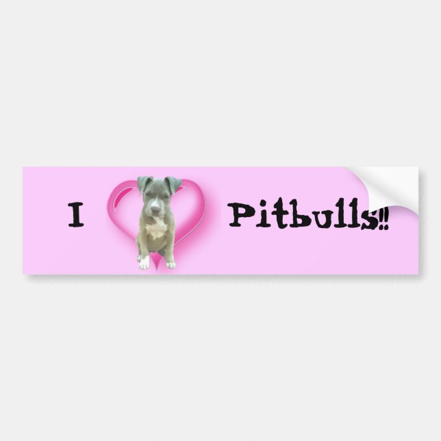 Pitbul puppy bumper sticker (Front)