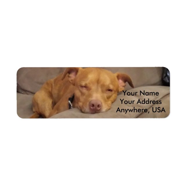Pitbull Address Labels (Front)