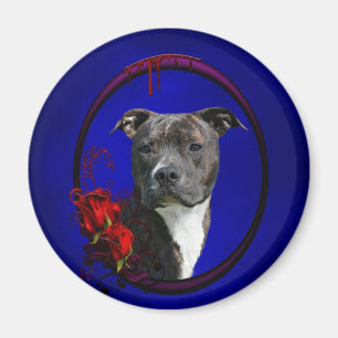 Pitbull and bloody roses magnet