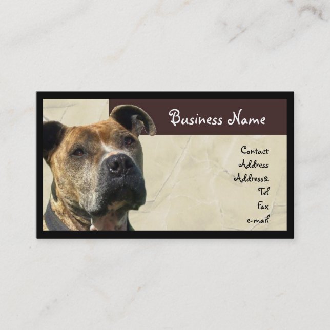 Pitbull Business Card (Front)