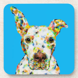 PITBULL COASTER