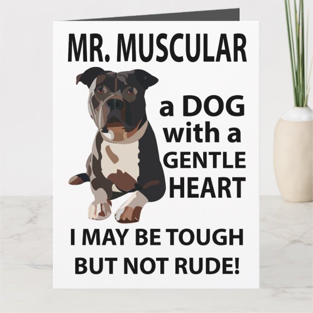 Pitbull Dog Animal Greeting  Card (Front)