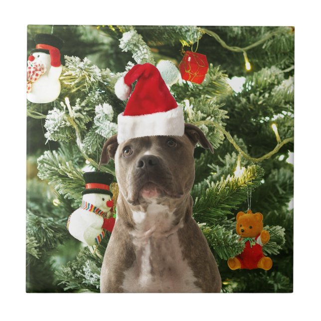 Pitbull Dog Christmas Tree Ornaments Snowman Tile (Front)