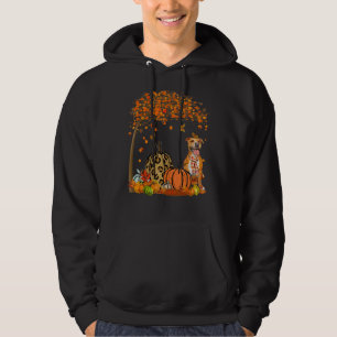 Pitbull Dog Fall Autumn Tree Thanksgiving Pumpkin Hoodie
