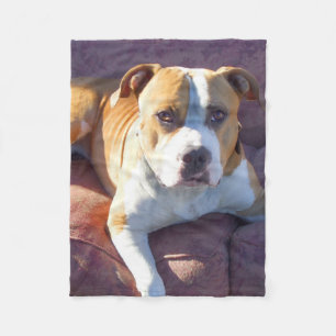 Pitbull dog fleece blanket
