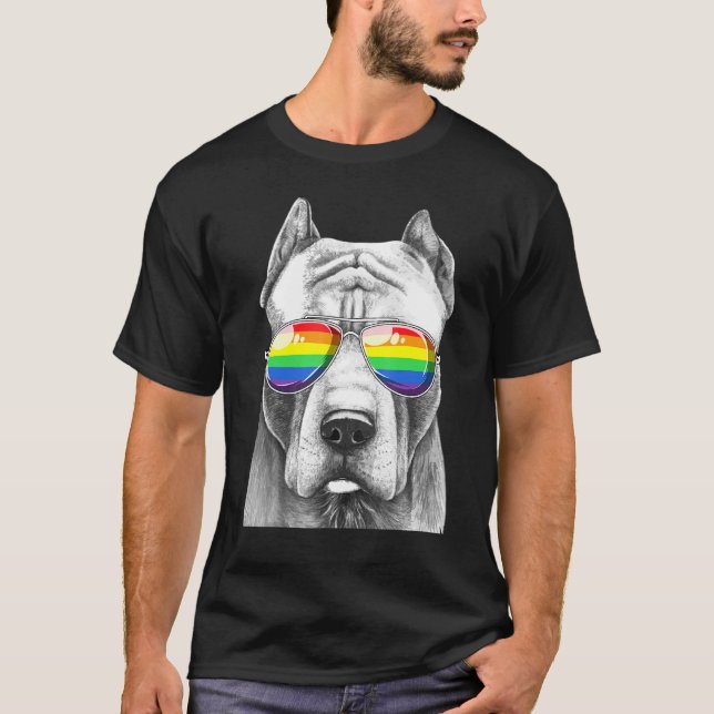 Pitbull Dog Gay Pride Flag Sunglasses Lgbt T-Shirt (Front)