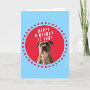Pitbull Dog Happy Birthday Blue Greeting Card